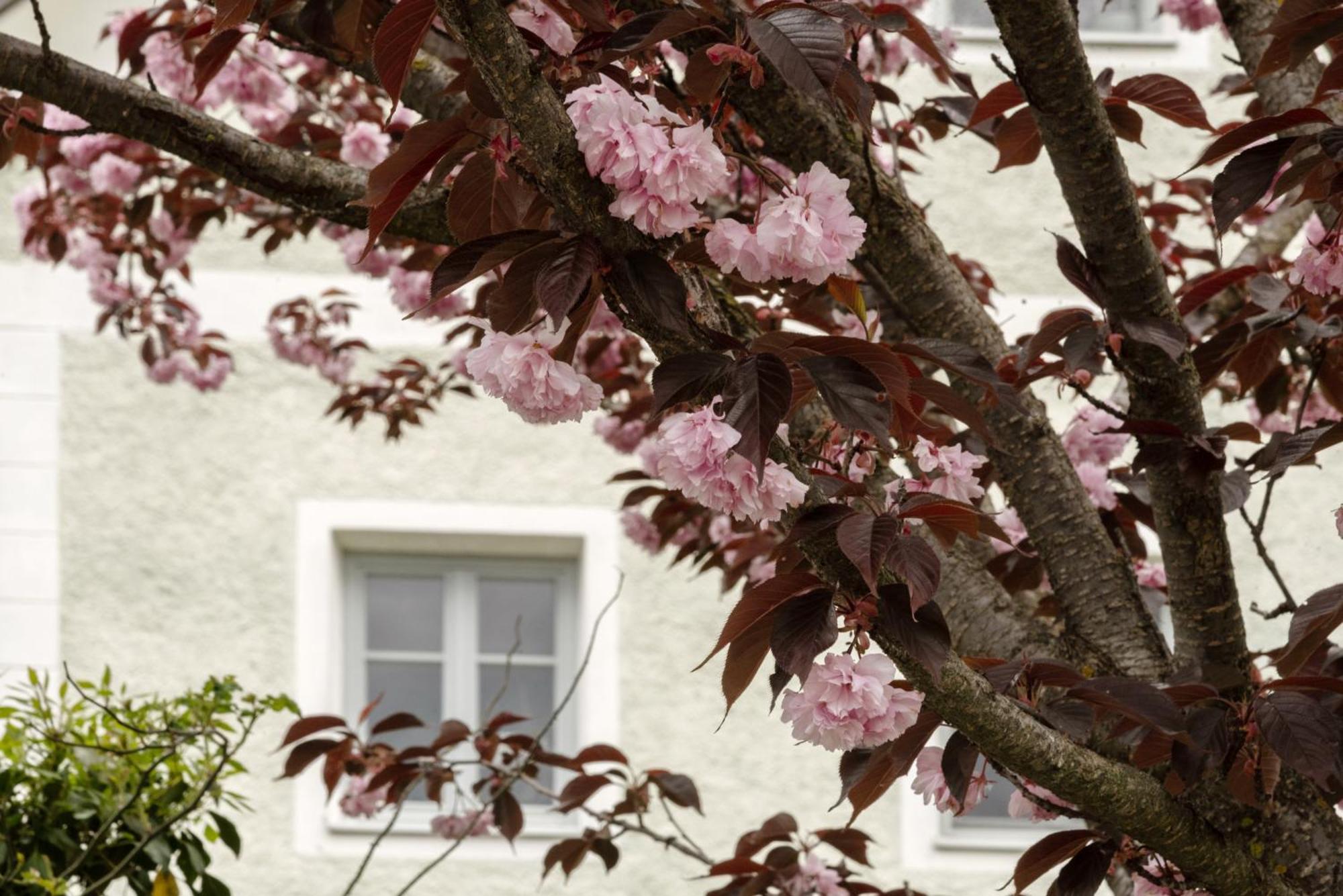 Puenlandhof Apartment บรูนิโก ภายนอก รูปภาพ